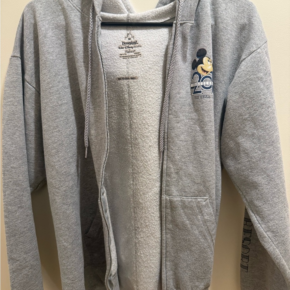 Disneyland official 2018 zip-up hoodie